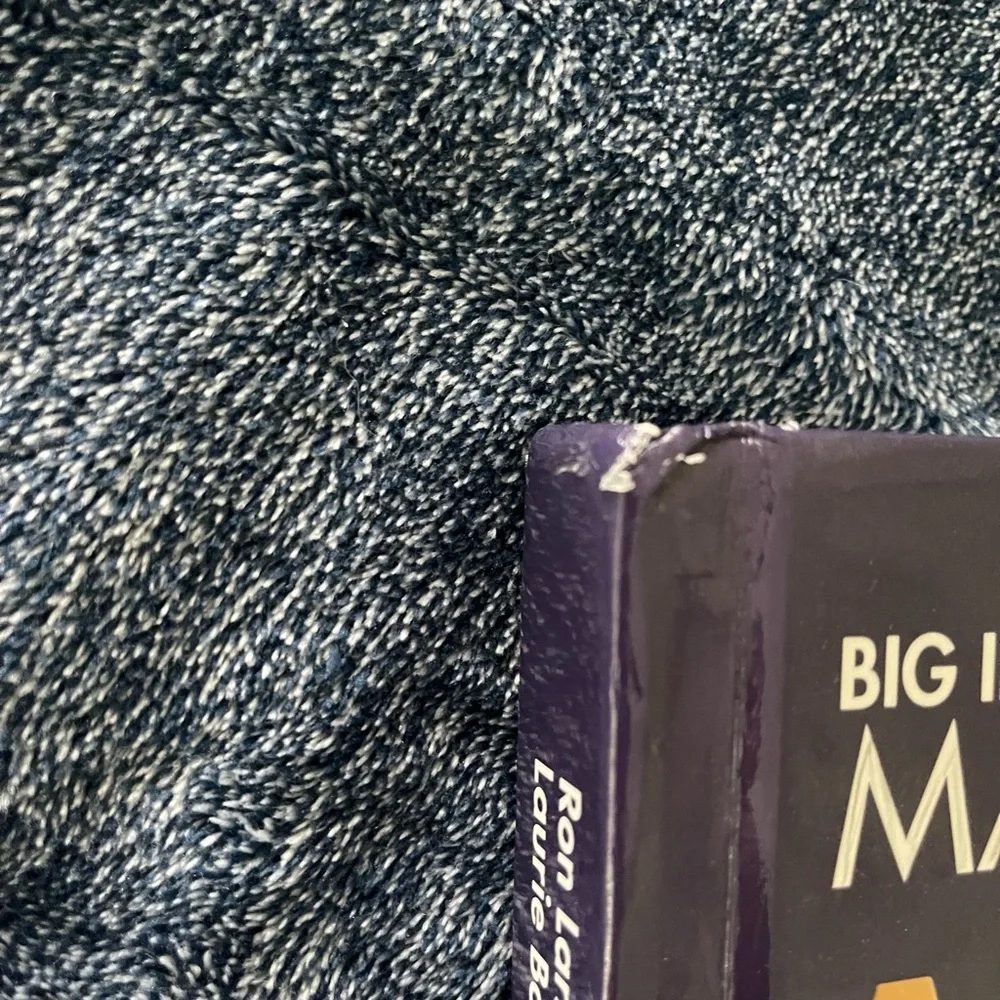 Big Ideas Algebra 1 Book - Purple Cover